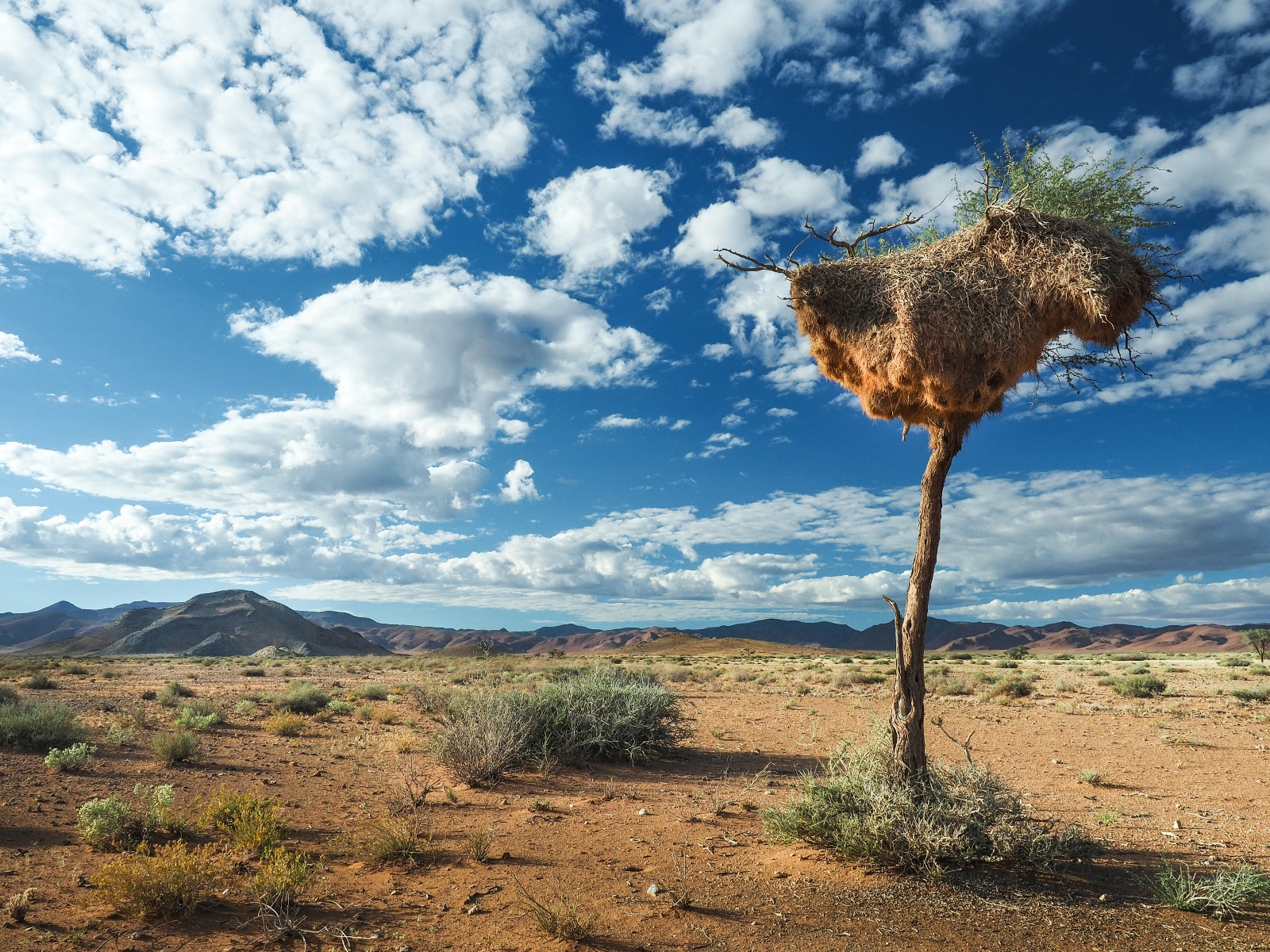 Namibian landscape