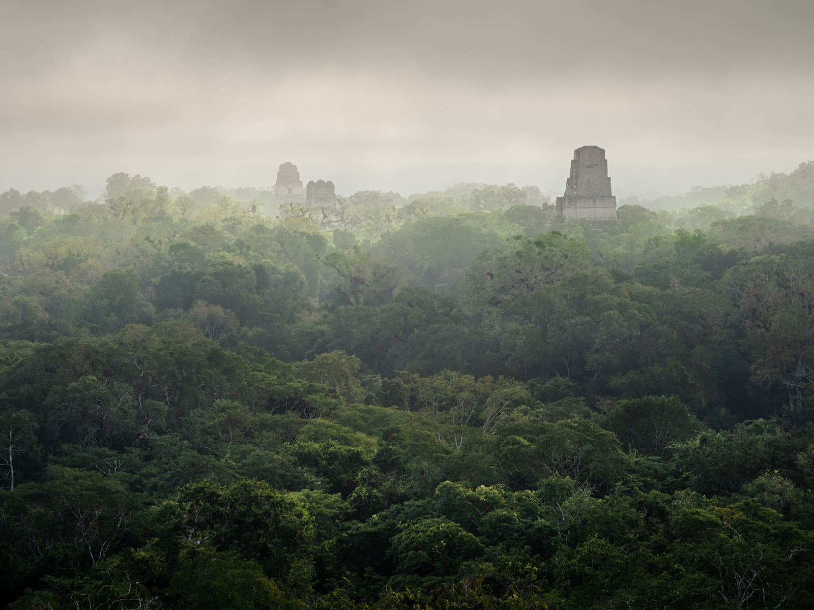 Tikal, Guatemala