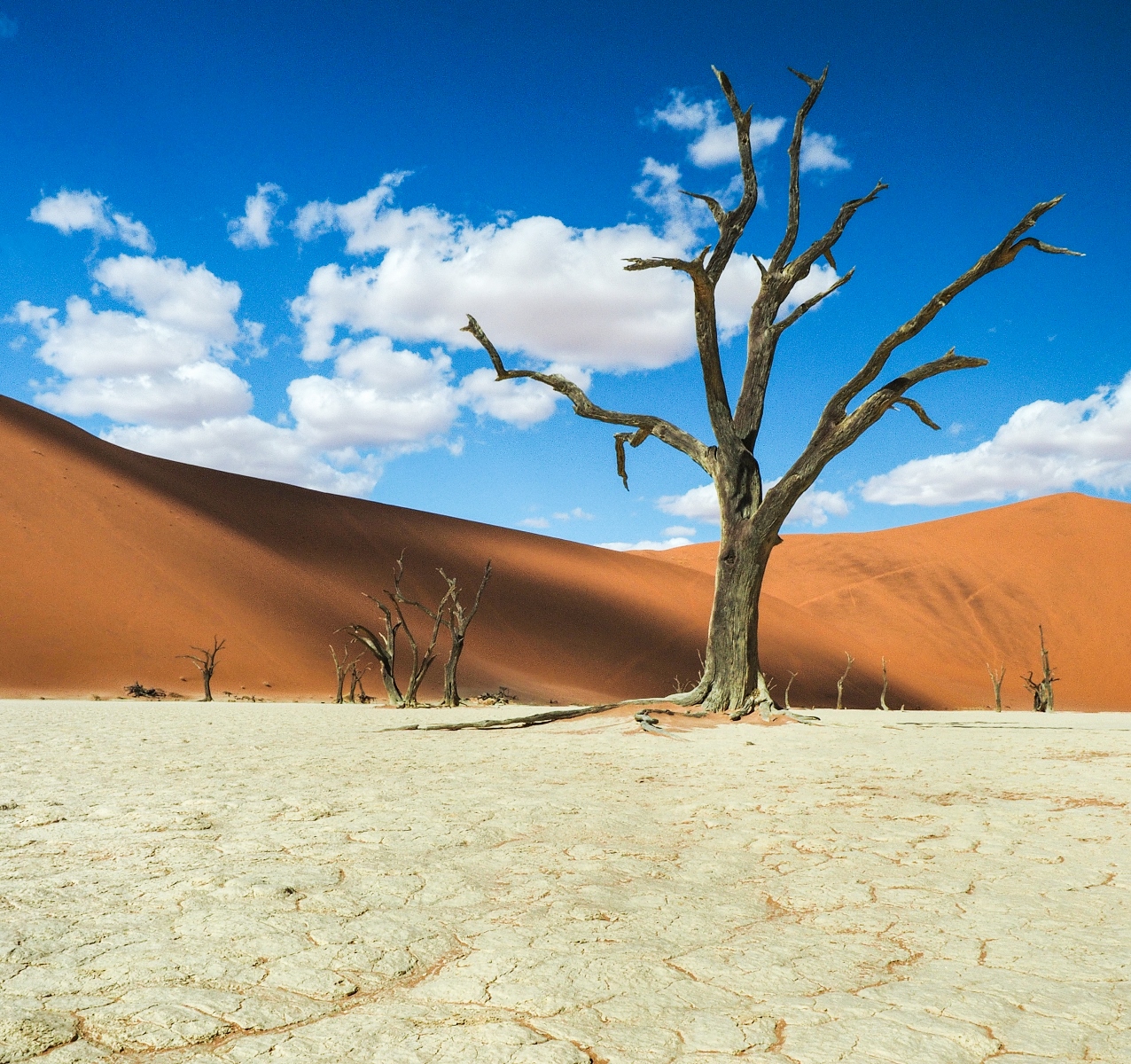 Deathvlei, Namibia